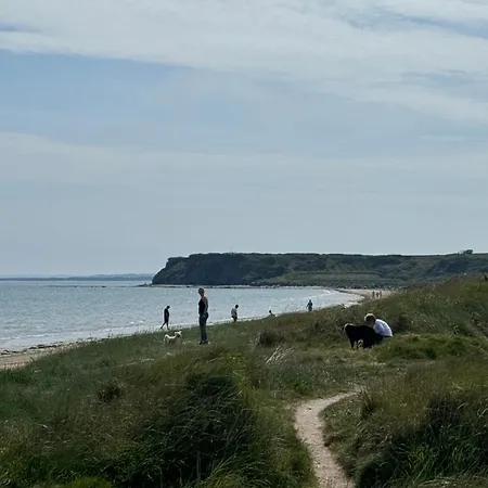 Cozy Coastal Pensión Bettystown