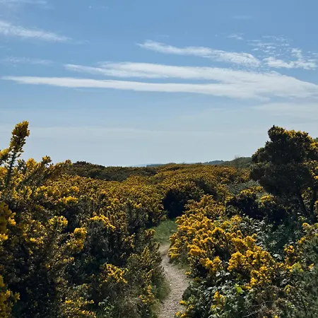 Cozy Coastal * Bettystown